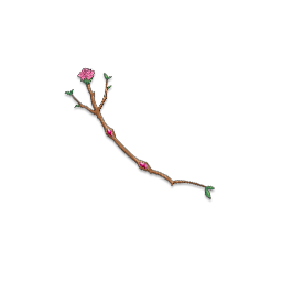 CHARM
