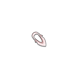 CHARM
