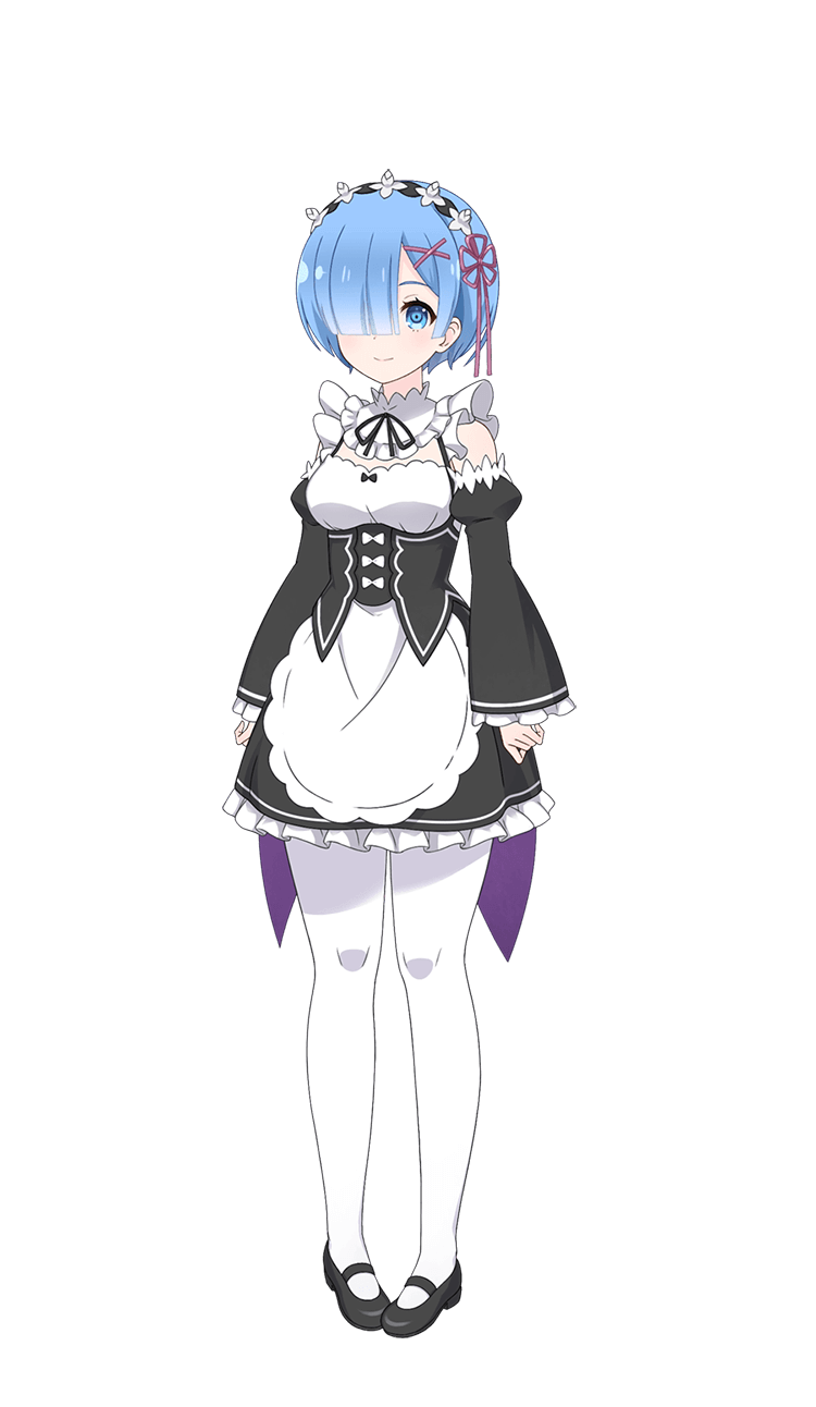 通常範囲攻撃衣装 レム/レムのメイド服