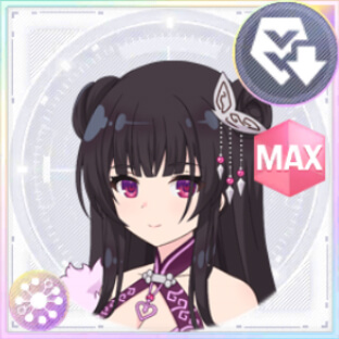 妨害衣装 森本結爾/SPYチャイナフォーム