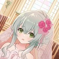 回復★6メモリア 輝くあなたは (超覚醒/回復)
