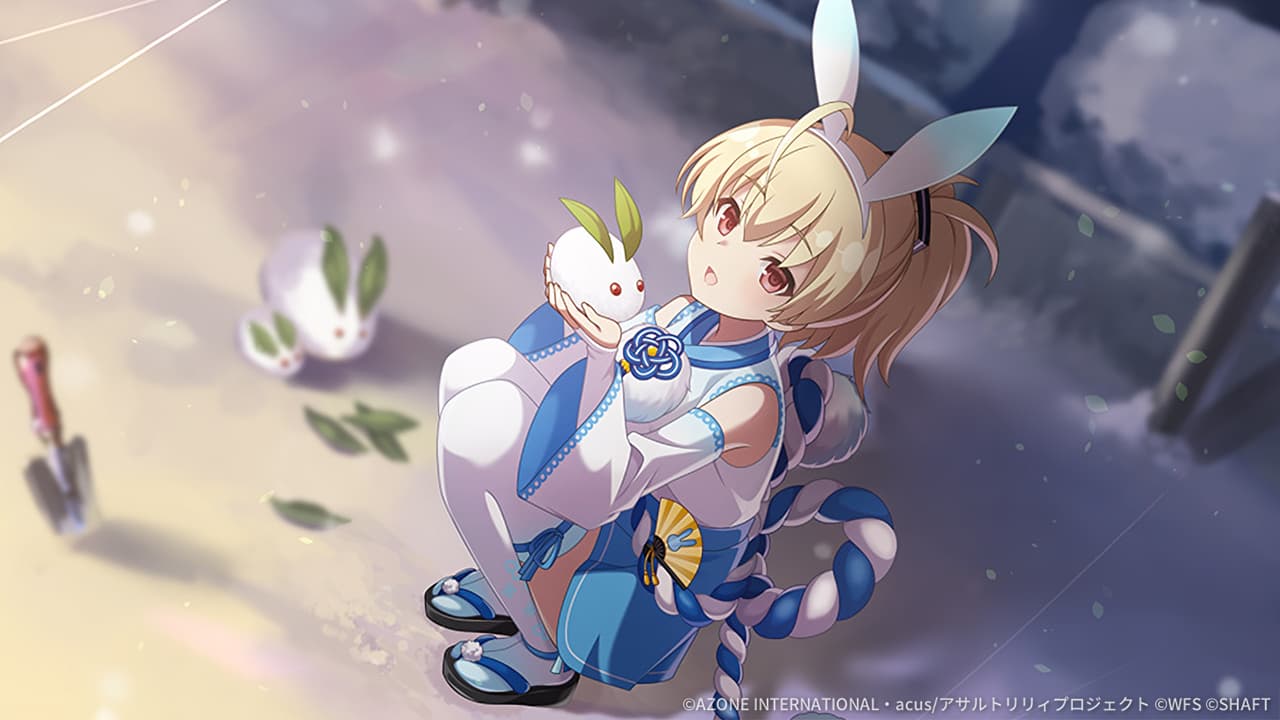 雪兎に会えた日【通常範囲攻撃メモリア】