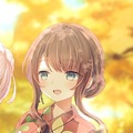 通常範囲攻撃★6メモリア 楓の頃 (覚醒/前衛)