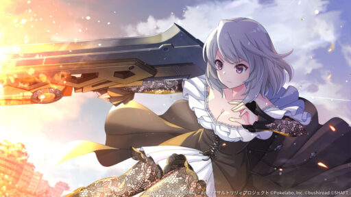 BZのプロフェッショナル (覚醒/後衛)【支援メモリア】