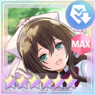 妨害★6メモリア 心を満たす栄養食