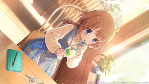 ふーみんにインタビュー (覚醒/後衛)【回復メモリア】