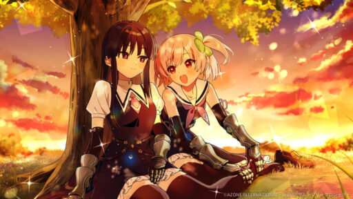 いつかの思い出を (超覚醒/回復)【回復メモリア】