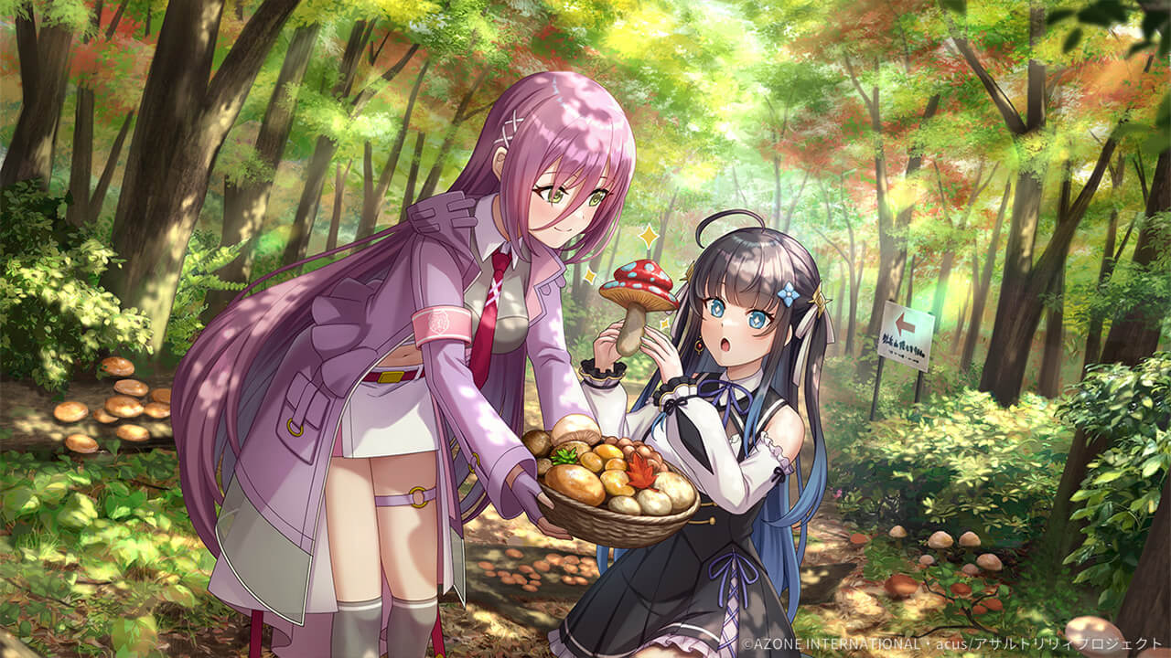 山の幸 (超覚醒/通常範囲) 通常範囲攻撃★6メモリア