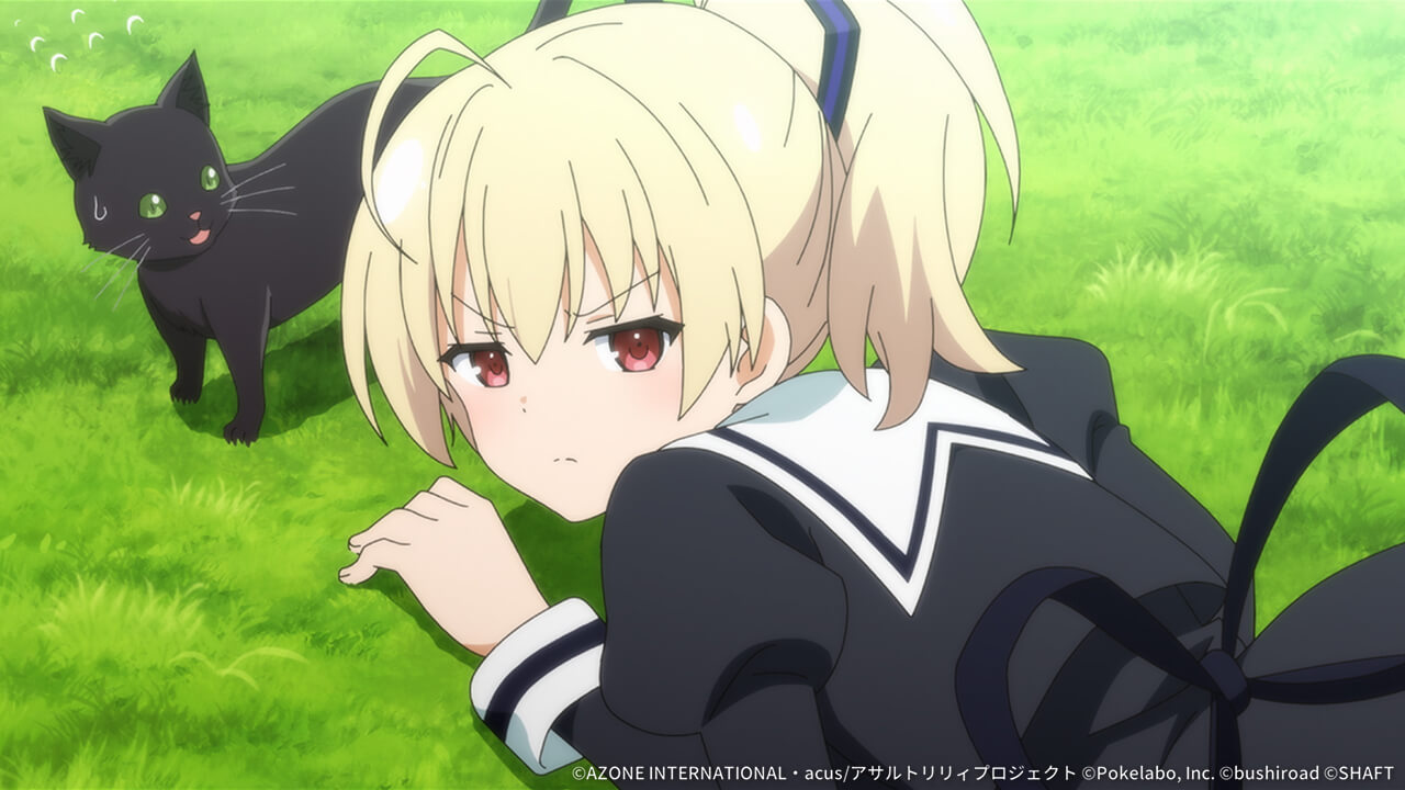 決定的瞬間!? 特殊範囲攻撃 ★5メモリア