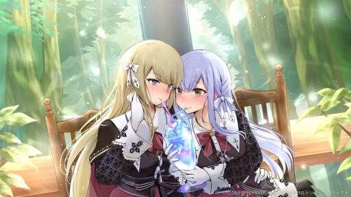 to share (超覚醒/特殊範囲)【特殊範囲攻撃メモリア】