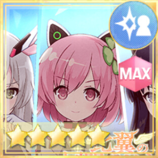 特殊単体攻撃★5メモリア 比翼の同盟レギオン